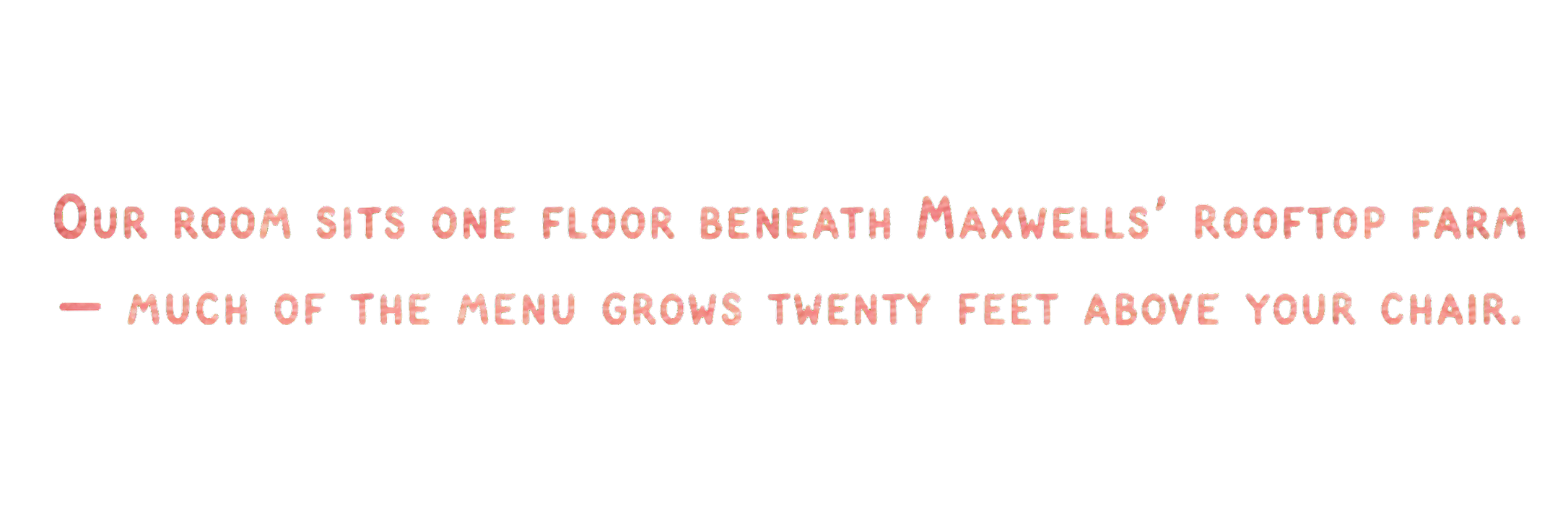 Our room sits one floor beneath Maxwells’ rooftop farm — much of the menu grows twenty feet above your chair.